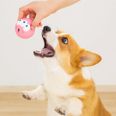 Balle pour chien HighlyResistant rose brun attrape chien