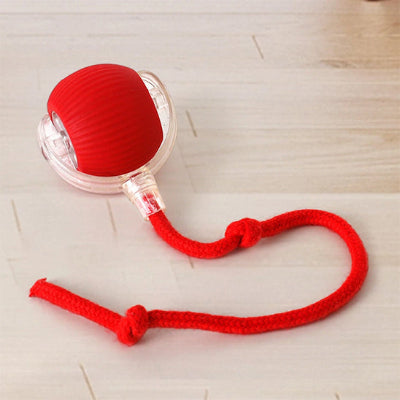 Balle pour chien LongLasting rouge plancher chien