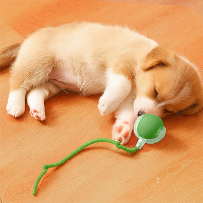 Balle pour chien LongLasting vert crème coucher chien