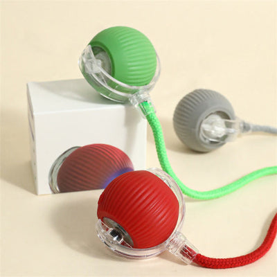 Balle pour chien LongLasting vert gris rouge chien