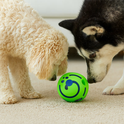 Balle pour chien SuperDurable vert crème noir chien