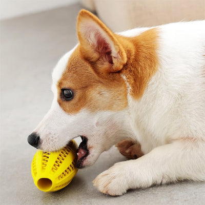 Balle pour chien UltimateDurabi jaune blanc brun chien