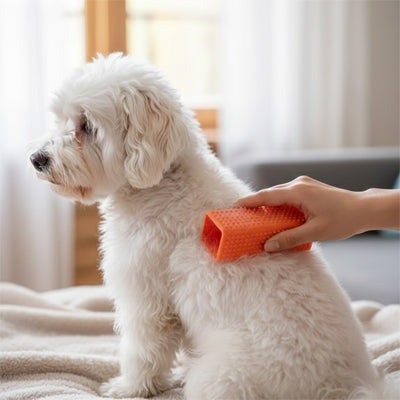 Brosse chien AntiNnoeudsPelageNet orange blanc assis chien