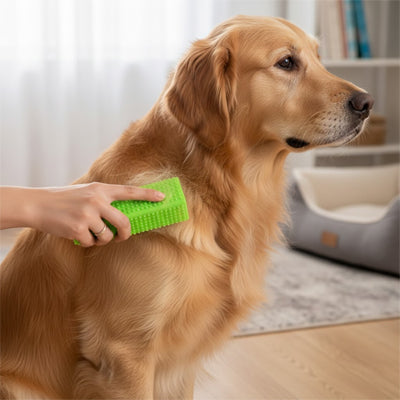 Brosse chien AntiNnoeudsPelageNet vert brun assis chien