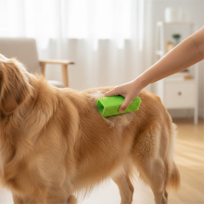 Brosse chien AntiNnoeudsPelageNet vert brun debout chien