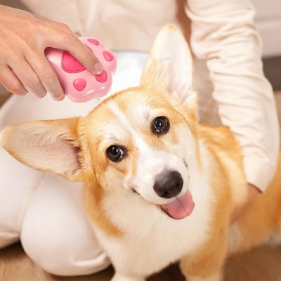Brosse chien AntiNoeudsErgonomique rose brun blanc chien