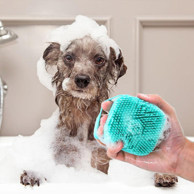 Brosse chien DelMelPoils bleu gris chien