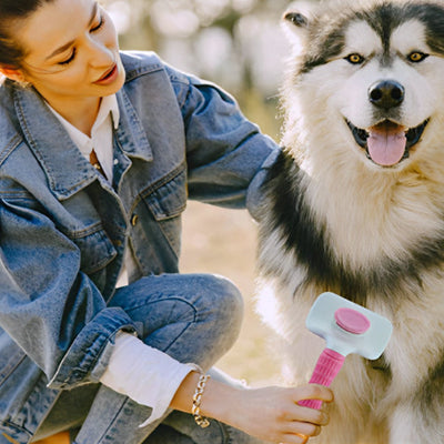 Brosse chien DemelPoils rose noir assis chien