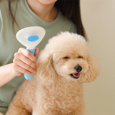 Brosse chien PremiumPro bleu assis creme chien
