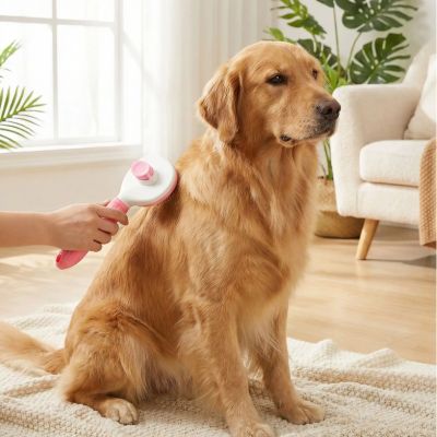 Brosse chien PremiumPro rose assis brun chien