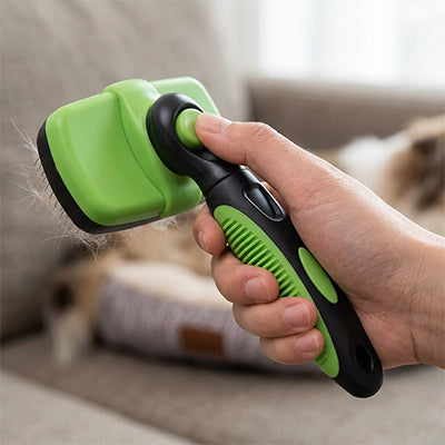 Brosse chien SerbStreinigend vert regardé, chien
