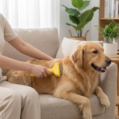 Brosse chien ThePelageNet jaune sofa brun chien