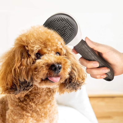Brosse pour chien AgainstKnots noir assis brun chien
