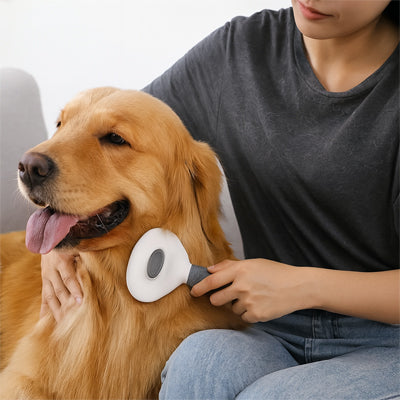 Brosse pour chien AgainstKnots noir brun assis chien