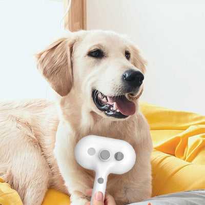 Brosse pour chien AntiMuePremium blanc coucher crème chien