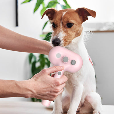 Brosse pour chien AntiMuePremium rose assis blanc brun chien