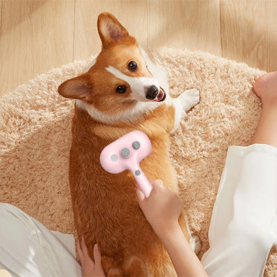 Brosse pour chien AntiMuePremium rose assis brun chien