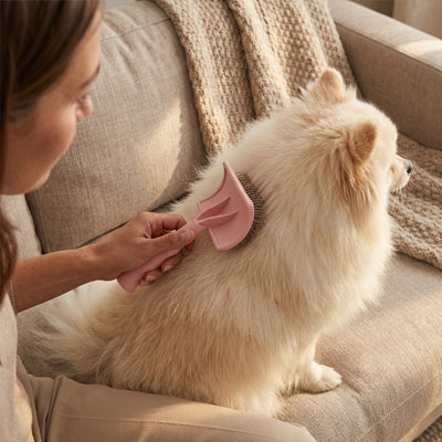 Brosse pour chien DemelDouceur rose crème chien