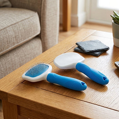 Brosse pour chien EasyDetangling bleu, table chien