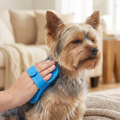 Brosse pour chien FromMelPoils bleu crème chien