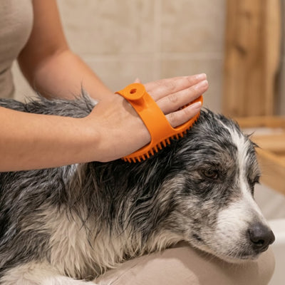 Brosse pour chien FromMelPoils orange noir chien