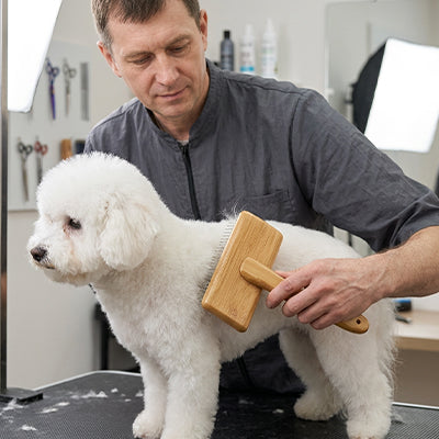 Brosse pour chien GentleAntiKnots bois debout blanc chien