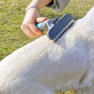 Brosse pour chien GentleCombing bleu assis blanc chien