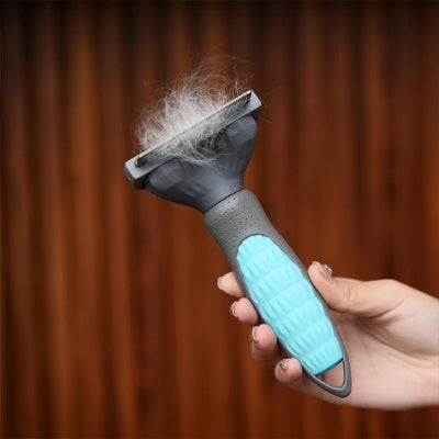 Brosse pour chien GentleCombing bleu mur chien