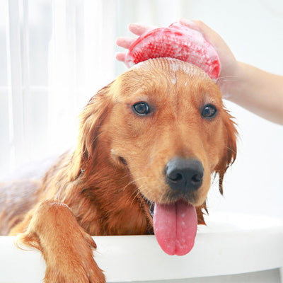 Brosse pour chien GentleDetangler rose bain assis chien