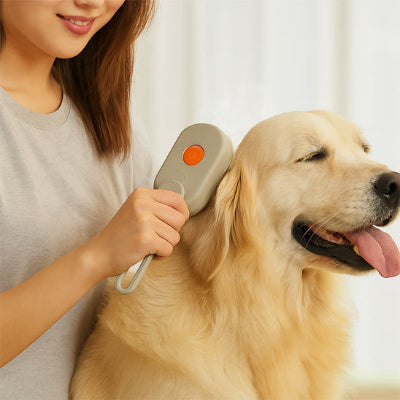 Brosse pour chien GlossyCoat beige orange assis beige chien