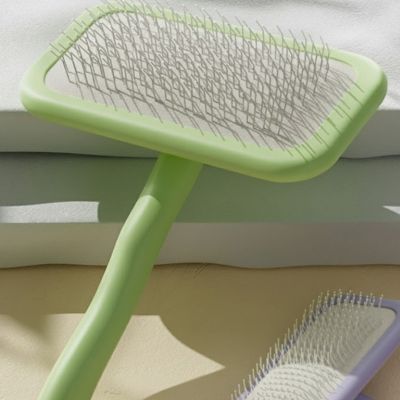 Brosse pour chien ShineAndDetangling vert, table chien