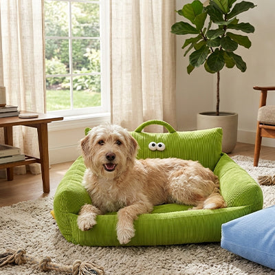 Canapé chien MemoryFoamComfort vert brun couche chien