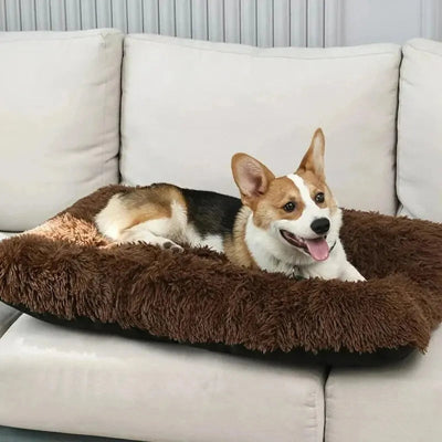 Canapé pour chien CanapeDog brun chien