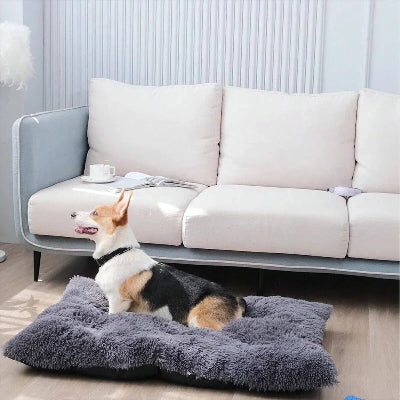 Canapé pour chien CanapeDog noir blanc chien
