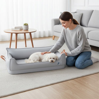 Canape pour chien ConfortElegant gris coucher chien