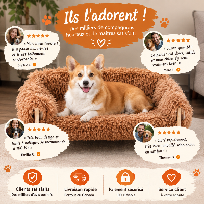 Canapé pour chien RoyalComfort Ils l'adorent Témoignages de maîtres heureux