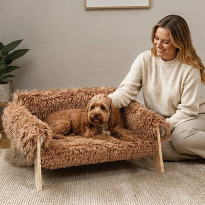 Canapé pour chien RoyalComfort dodo brun couche femme chien