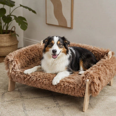 Canapé pour chien RoyalComfort dodo brun couche noir blanc chien
