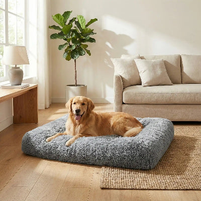 Canapé pour chien Ultime gris, brun chien