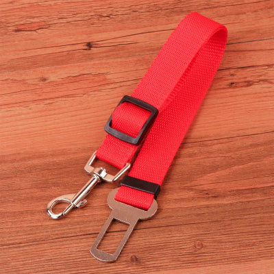 Ceinture pour chien BeltPet rouge chien