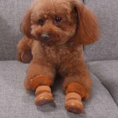 Chaussure chien ShoesAndDogs brun chien