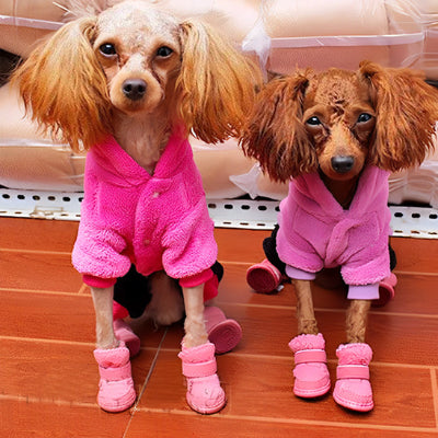 Chaussure chien ShoesAndDogs deux rose brun chien