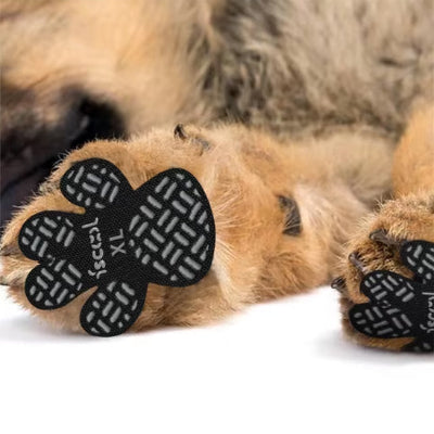 Chaussure chiens DogFootwearShoes pattes brun chien