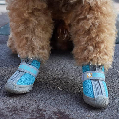 Chaussure pour chien ShoesDog bleu assis chien