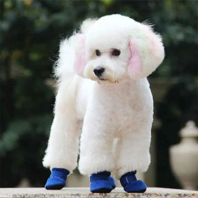 Chaussures pour chien DogsFor bleu arrêter chien