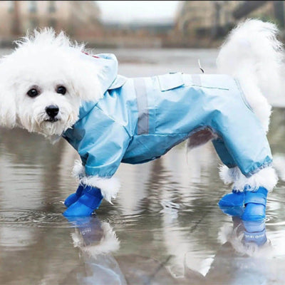 Chaussures pour chien ShoesFor blanc bleu chien