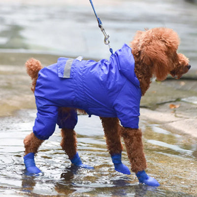 Chaussures pour chien ShoesFor brun bleu chien