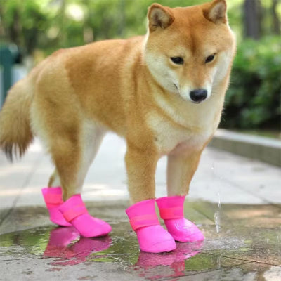 Chaussures pour chien ShoesFor brun rose chien