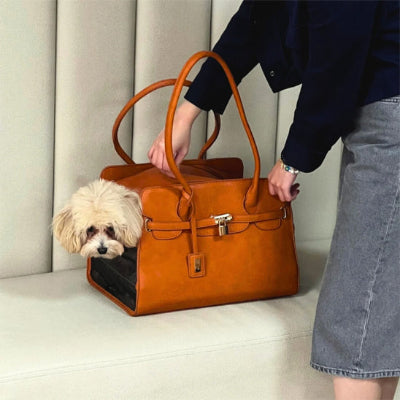 Chien, sac de transport PetsCar brun crème, chien