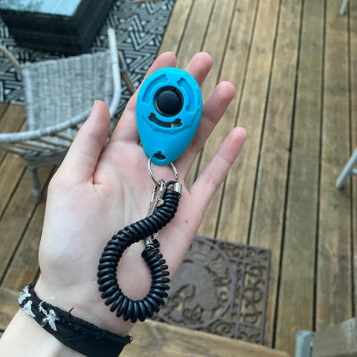 Clic d'apprentissage chien TrainingClic bleu chien